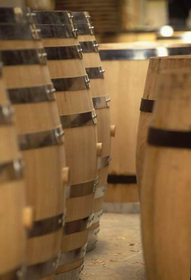 Rangées de fûts en chêne neufs prêts à l’usage à la Tonnellerie Remond.