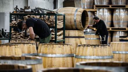 Tonneliers assemblant des fûts en chêne dans l’atelier de la Tonnellerie Remond.