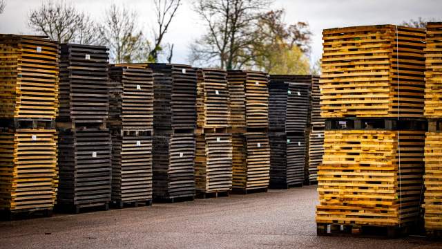 Piles de merrains en chêne entreposés dans la cour de la Tonnellerie Remond.